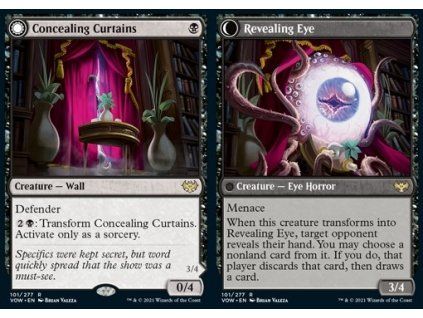 Concealing Curtains // Revealing Eye