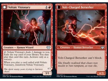Voltaic Visionary // Volt-Charged Berserker