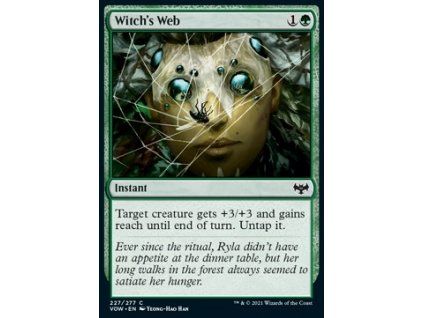 Witch's Web