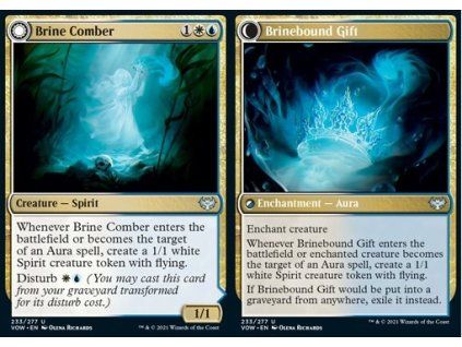 Brine Comber // Brinebound Gift