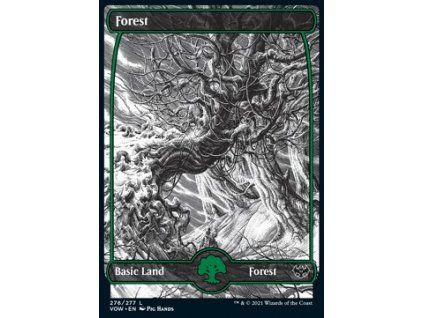 Forest - Full Art (V.1)
