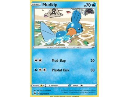 Mudkip