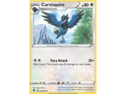 Corvisquire
