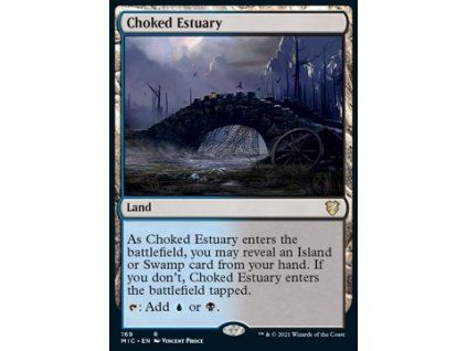 Choked Estuary