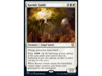 Karmic Guide