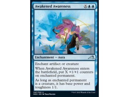 Awakened Awareness
