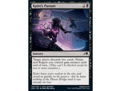 Kaito's Pursuit