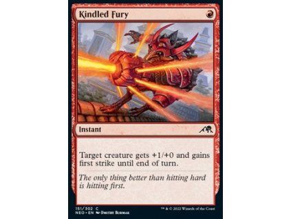 Kindled Fury