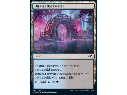 Dismal Backwater