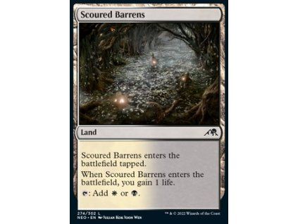Scoured Barrens