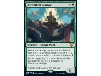 Ascendant Acolyte