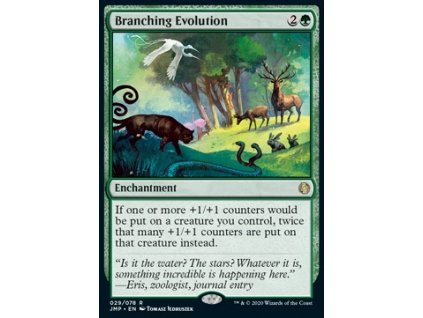 Branching Evolution