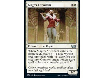 Mage's Attendant