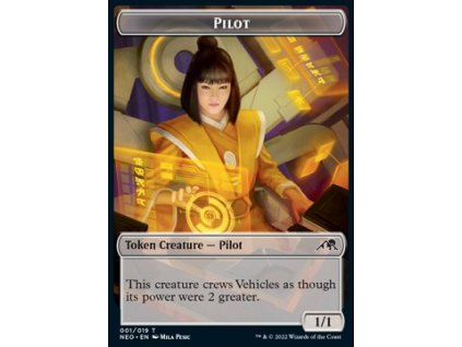 Pilot Token