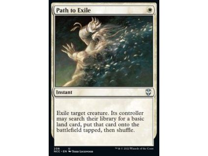 Path to Exile