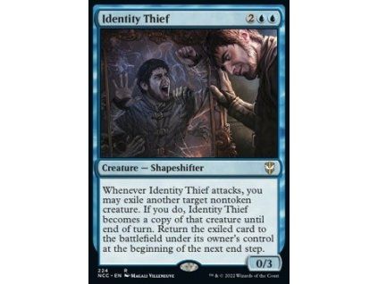 Identity Thief