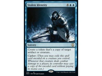 Stolen Identity