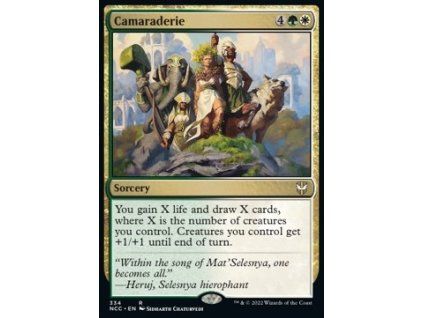 Camaraderie