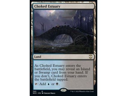 Choked Estuary