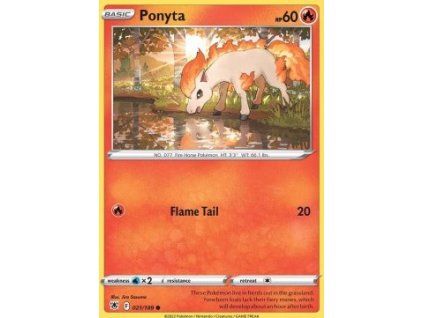 Ponyta