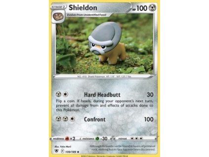 Shieldon