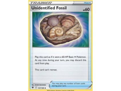 Unidentified Fossil
