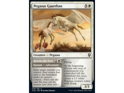 Pegasus Guardian