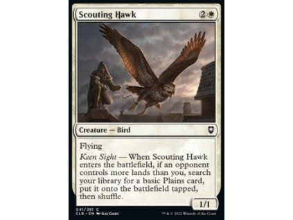 Scouting Hawk