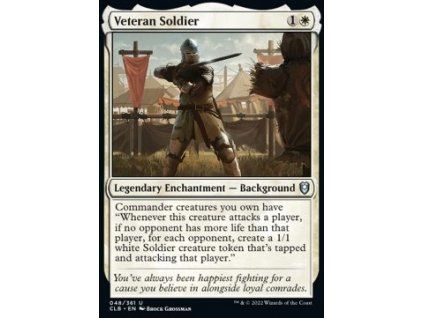 Veteran Soldier