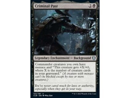 Criminal Past
