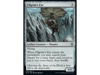Pilgrim's Eye