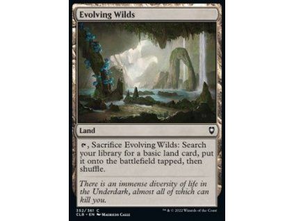 Evolving Wilds