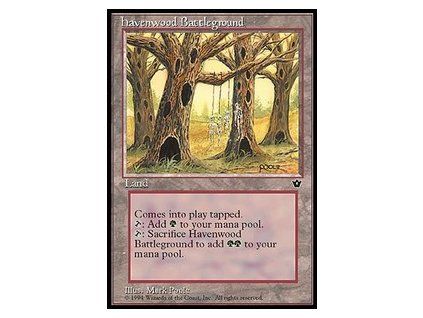Havenwood Battleground