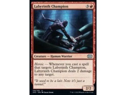 Labyrinth Champion