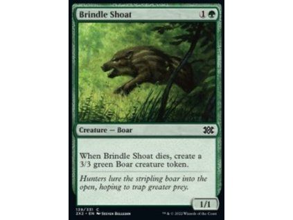 Brindle Shoat