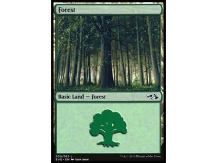 Forest (V.8)