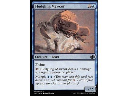 Fledgling Mawcor
