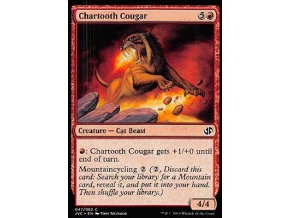 Chartooth Cougar