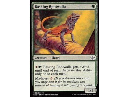 Basking Rootwalla