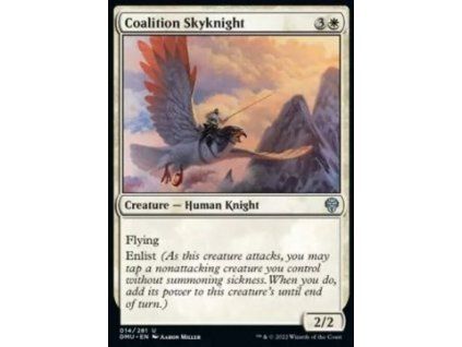 Coalition Skyknight