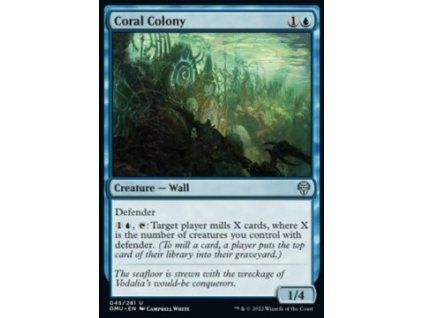 Coral Colony