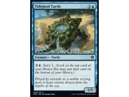 Tidepool Turtle
