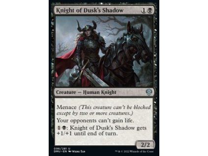 Knight of Dusk's Shadow
