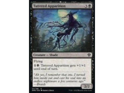 Tattered Apparition