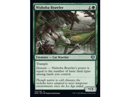 Nishoba Brawler