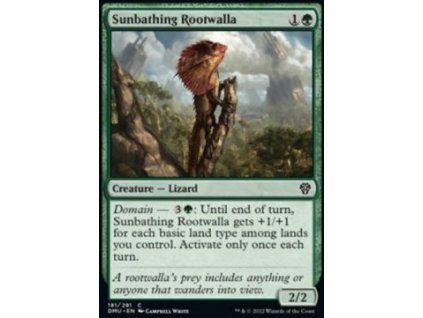 Sunbathing Rootwalla