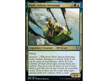 Nael, Avizoa Aeronaut