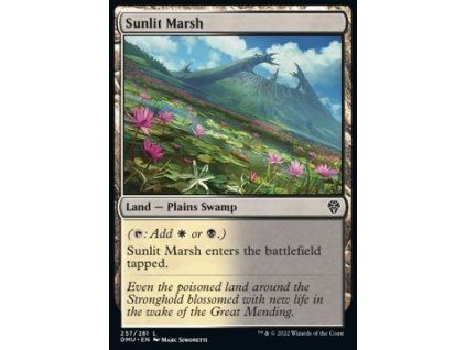 Sunlit Marsh