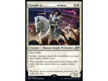 Knight in _____ Armor