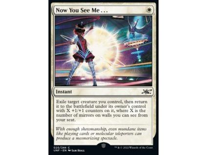 Now You See Me...